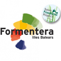Mitja Marató Formentera i 8 Km Sant Ferran-La Savina