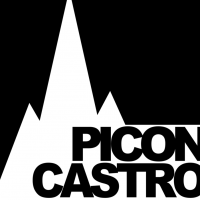 Picón Castro